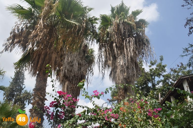 af3a lud 902 school (17).JPG